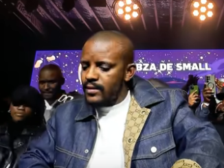 Kabza De Small
