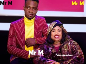 Mr M