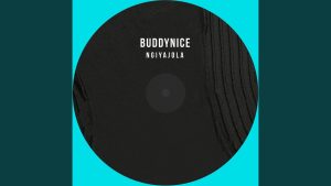 Buddynice – Ngiyajola (Redemial Mix)