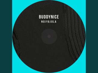 Buddynice – Ngiyajola (Redemial Mix)