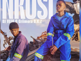 DJ Veek – Nkosi ft Criimora B.K.Z