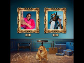 Lady Zamar – Show me ft Fido