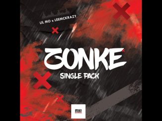 Lil Mö & LeeMcKrazy – ZONKE (SGIJA) ft Ceeka RSA