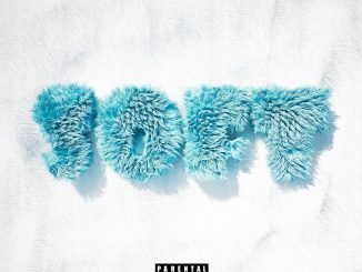 Nasty C & Usimamane - Soft