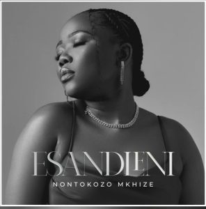 Nontokozo Mkhize – Esandleni