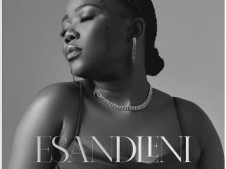 Nontokozo Mkhize – Esandleni