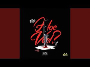 Priddy Prince – Hoeveel Ft. Luda G