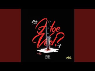 Priddy Prince – Hoeveel Ft. Luda G