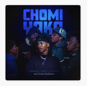 TKcreedlion – Chomi Yaka ft Smoove, Royal Musiq, W4DE, Djy Biza & Shoes Meister