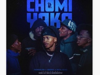 TKcreedlion – Chomi Yaka ft Smoove, Royal Musiq, W4DE, Djy Biza & Shoes Meister