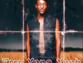 Tribby Wadi Bhozza & Zoli White Smoke – Trrr Yona Yoo