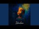 Dj 2k – Dlozi Lami ft Phila Dlozi, Dj Maphorisa, B33Kay SA & Debow Taliana