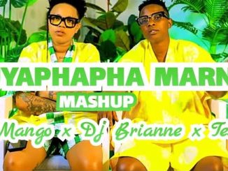 Dj mango, Dj brianne & Tesha – Uyaphapha marn (Mashup)