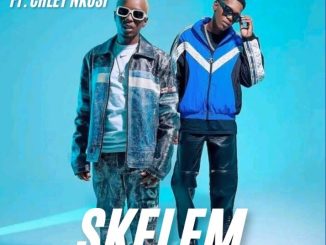Mellow & Sleazy – skelem ft Chley Nkosi