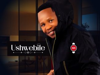 Navigator – Ushwebile ft Mjolisi