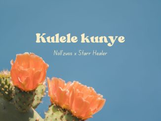 Noll'zuss – Kulele Kunye ft Starr Healer