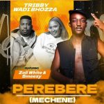 Tribby Wadi Bhozza – Perebere (Mechene) ft Zoli White Smoke & SmeezyOn The Beat