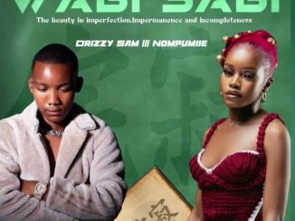 Drizzy Sam – Ungangilibali ft Nompumiie