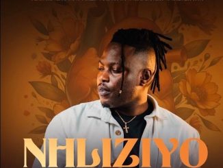 Mduduzi Ncube – Nhliziyo Ngise ft Fanatic SA, Stalin Matsitsa, Caeser & Ayanda Art
