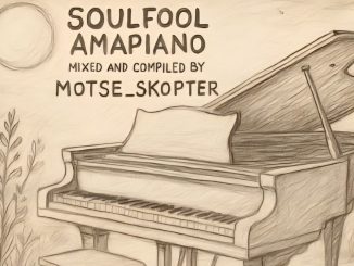 Motse_Skopter - SoulFool Amapiano Vol. 16