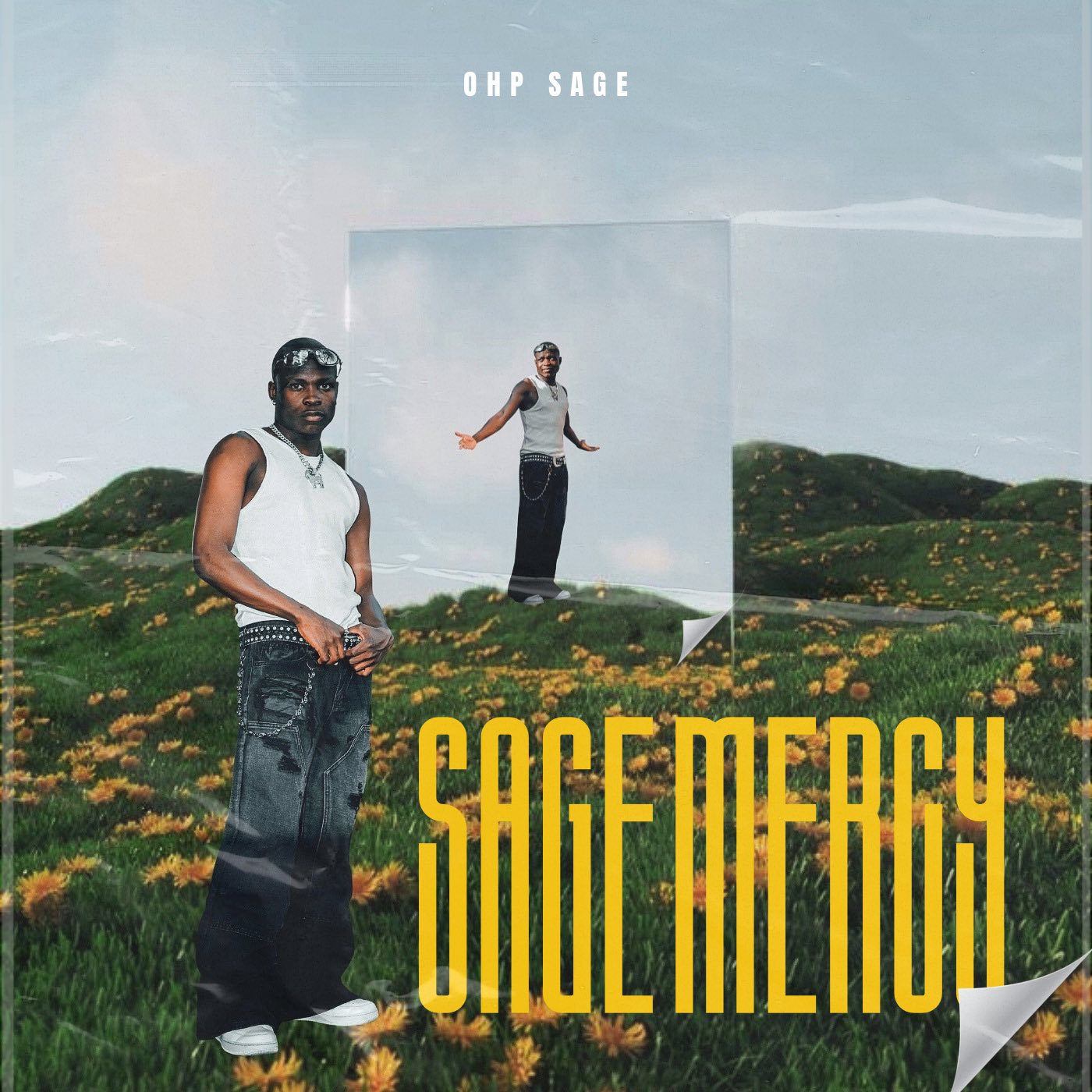 OHP Sage – Lesweets