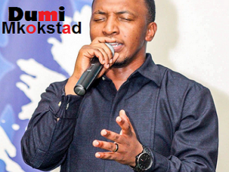 Dumi Mkokstad