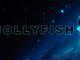 Jollyfish – The Beginning