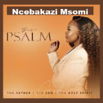 Ncebakazi Msomi