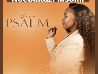 Ncebakazi Msomi