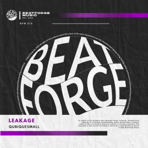 QubiqueSmall – Leakage