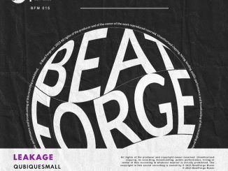 QubiqueSmall – Leakage
