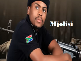 Mjolisi