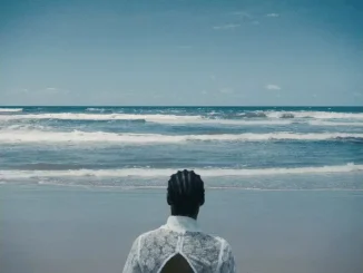 Bongeziwe Mabandla – Zama