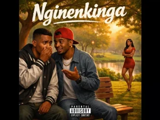 Dj Njebza – Nginenkinga