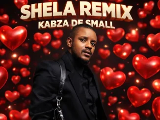 Kabza De Small – Shela Remix