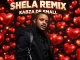 Kabza De Small – Shela Remix