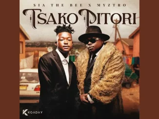 Myztro & Sia_TheBee – Tjerere feat. Pcee & Slenda Vocals