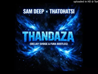 Sam Deep, Thatohatsi – Thandaza (Deejay Svidge & Fura 3 Step Bootleg)