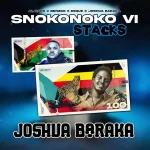 Al Xapo – SNOKONOKO II (Shallipopi) Ft. EeQue, Benzoo & And Shallipopi