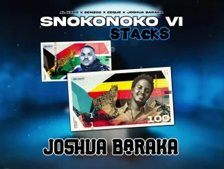 Al Xapo – SNOKONOKO II (Shallipopi) Ft. EeQue, Benzoo & And Shallipopi