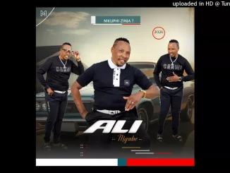 Amasap – Uzoshaywa inyoka Feat. Zondi