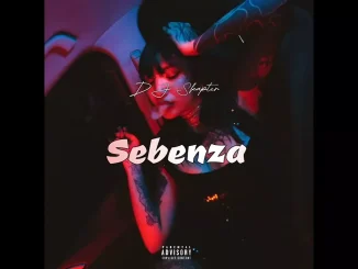 DJSkapter – Sebenza feat. Tyla, Kabza de small, Babalwa M & JAZZWRLD, Dlala Thukzin, Elaine, DJ Maphorisa