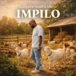 Kabza De Small & Mkeyz – Impilo