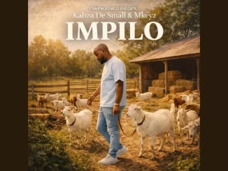 Kabza De Small & Mkeyz – Impilo