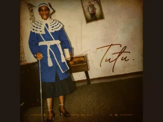 Kabza De Small – Impilo