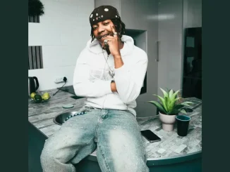 Lengwalo – Shandesh Chillmaster Music & King Salah Visualiser