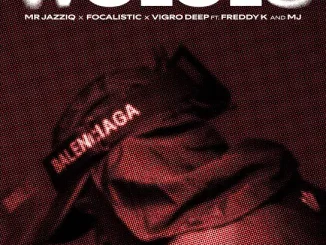 Mr JazziQ – Wololo Ft. Focalistic, Vigro Deep, Freddy K & M.J
