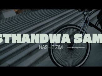 Nashie Zim – STHANDWA SAMI