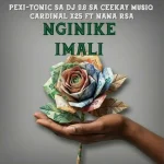 Nginike imali Pexi – Tonic SA Dj 9.8 SA,Ceekay Musiq, Cardinal X25 Ft. Nana Rsa Nginike imali Pexi – Tonic SA Dj 9.8 SA,Ceekay Musiq, Cardinal X25 Ft. Nana Rsa