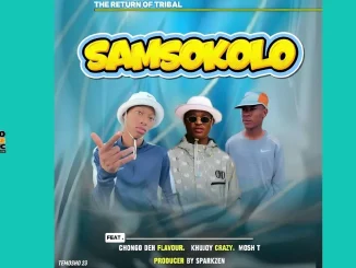 Samsokolo – Chongo The Flavour, Khujoy Crazy, Mosh T & Sparkzen